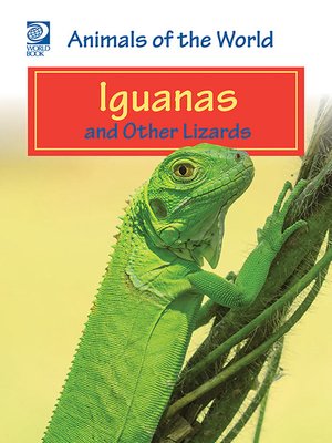 cover image of Iguanas and Other Lizards